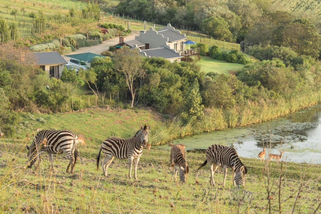 Casa de Férias Hakuna Matata Game Farm Great Brak River